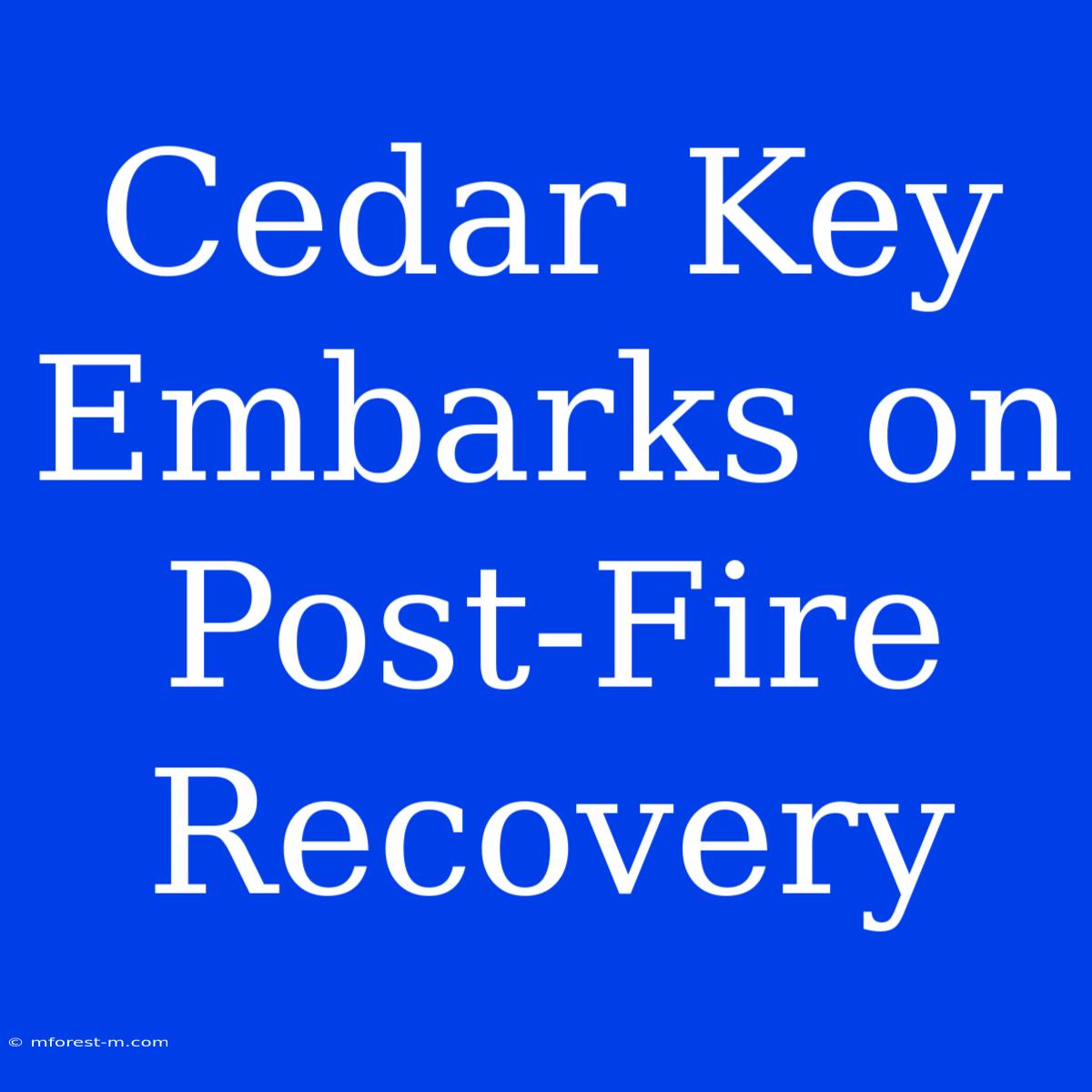 Cedar Key Embarks On Post-Fire Recovery