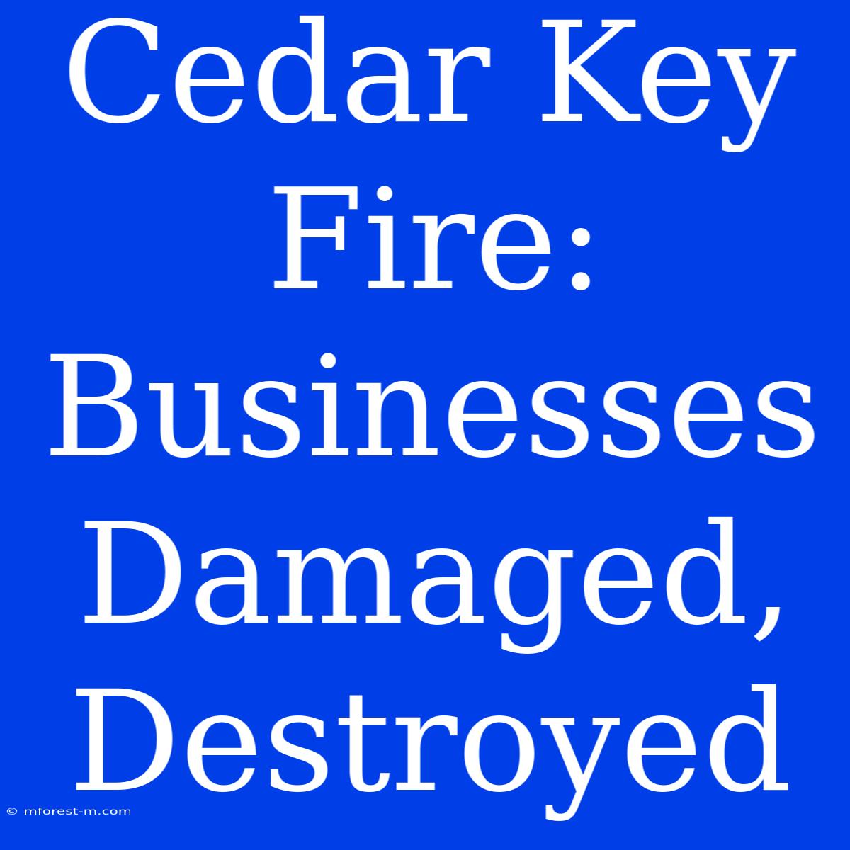 Cedar Key Fire: Businesses Damaged, Destroyed