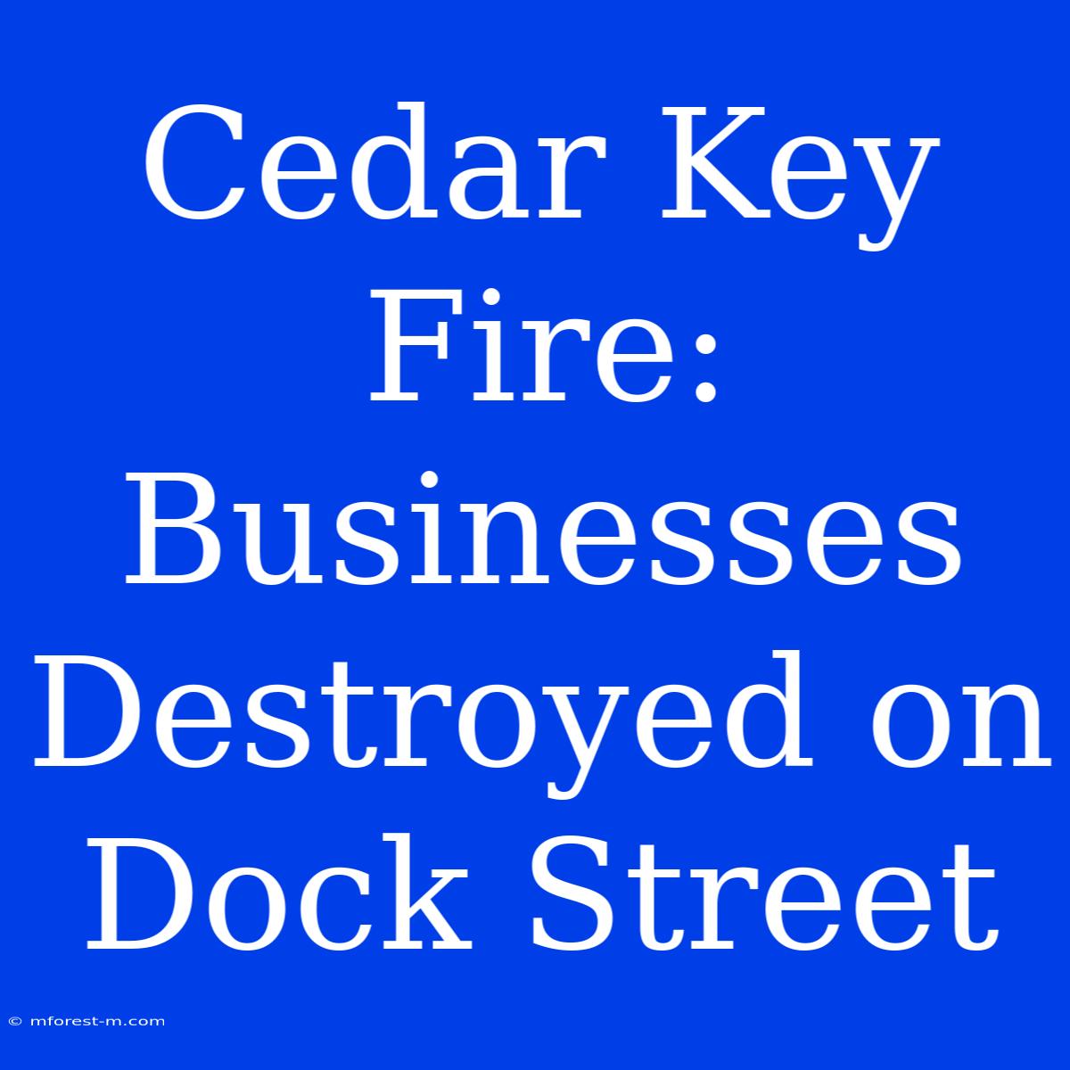 Cedar Key Fire: Businesses Destroyed On Dock Street 