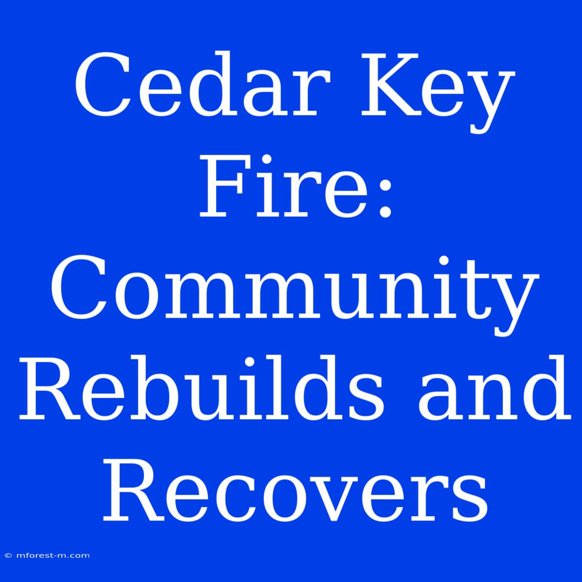 Cedar Key Fire: Community Rebuilds And Recovers