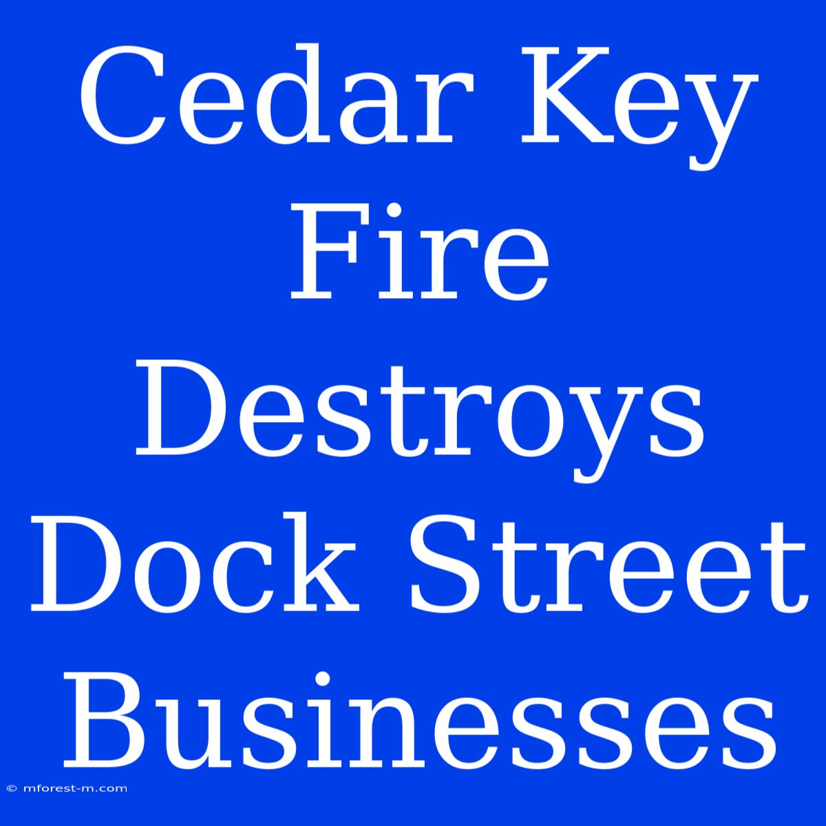 Cedar Key Fire Destroys Dock Street Businesses