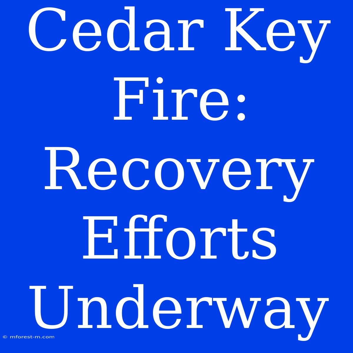 Cedar Key Fire: Recovery Efforts Underway