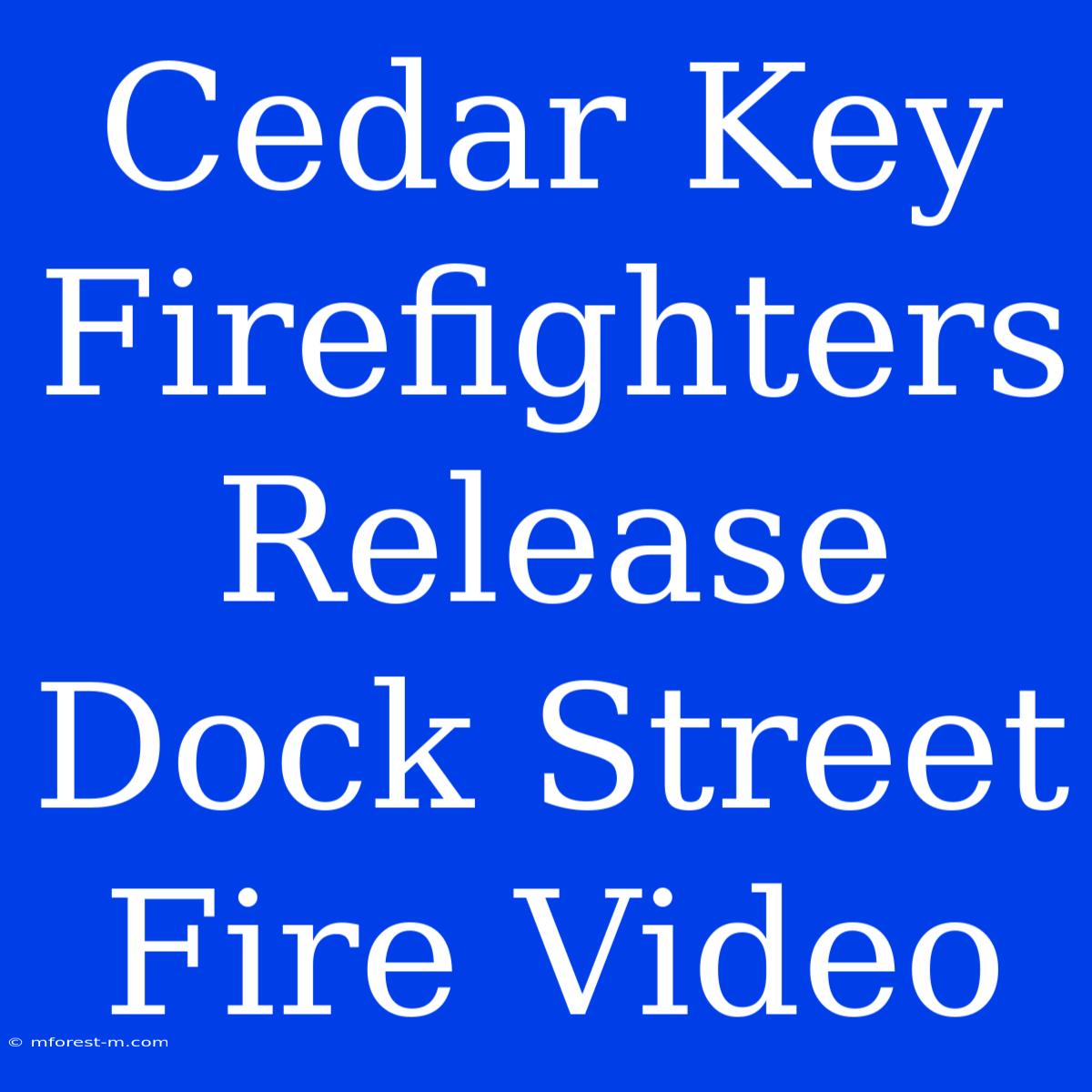 Cedar Key Firefighters Release Dock Street Fire Video