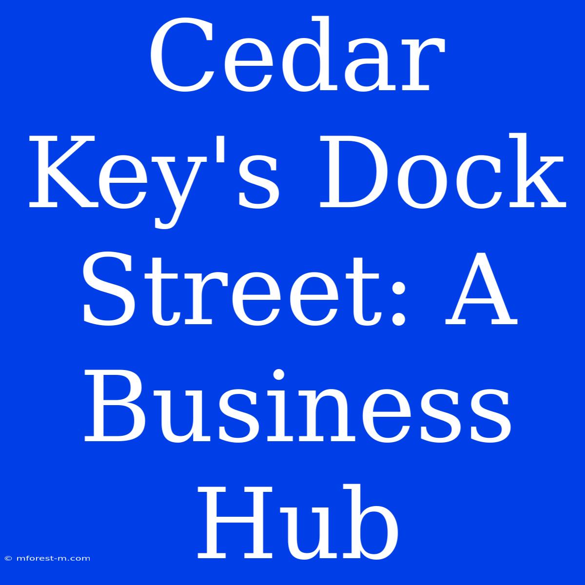 Cedar Key's Dock Street: A Business Hub