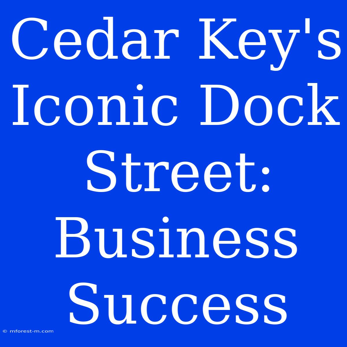 Cedar Key's Iconic Dock Street: Business Success