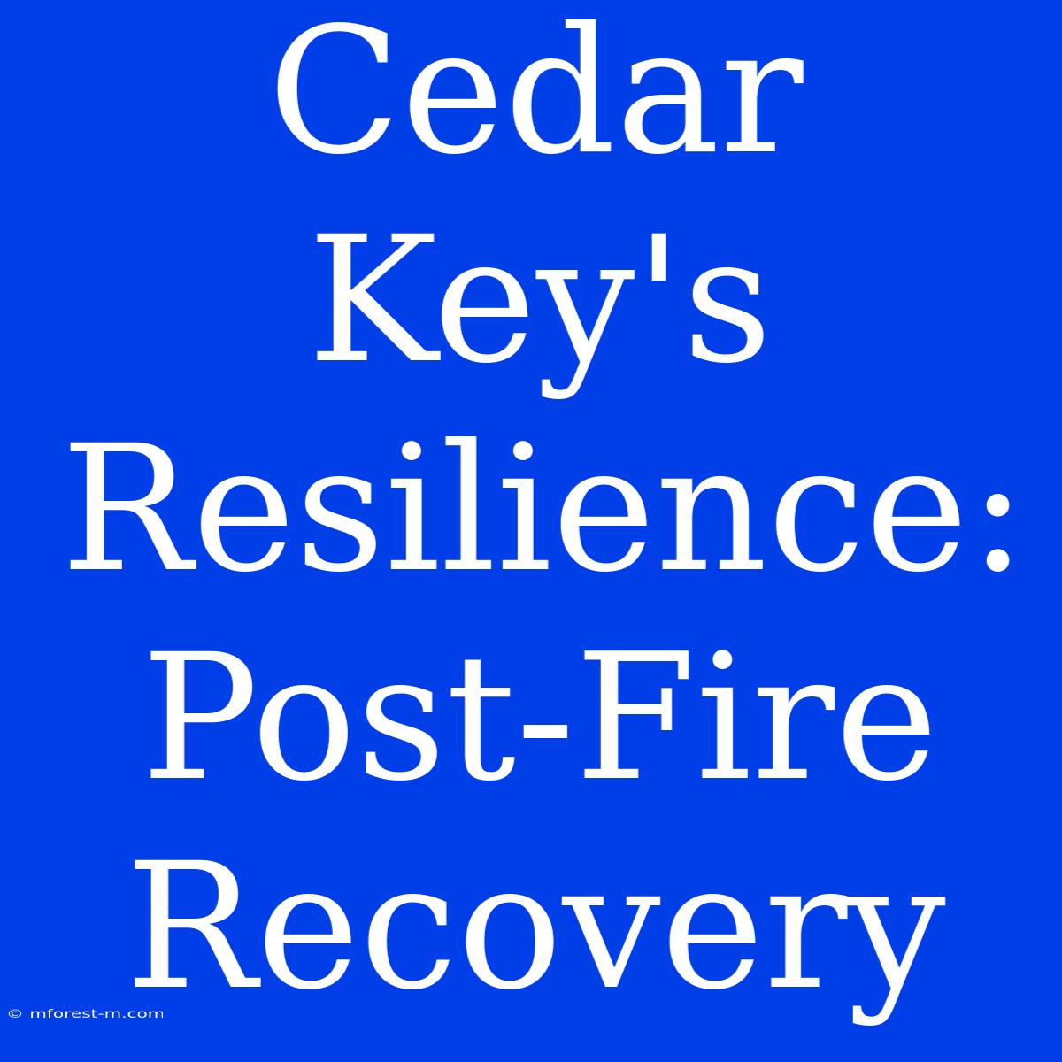 Cedar Key's Resilience: Post-Fire Recovery 