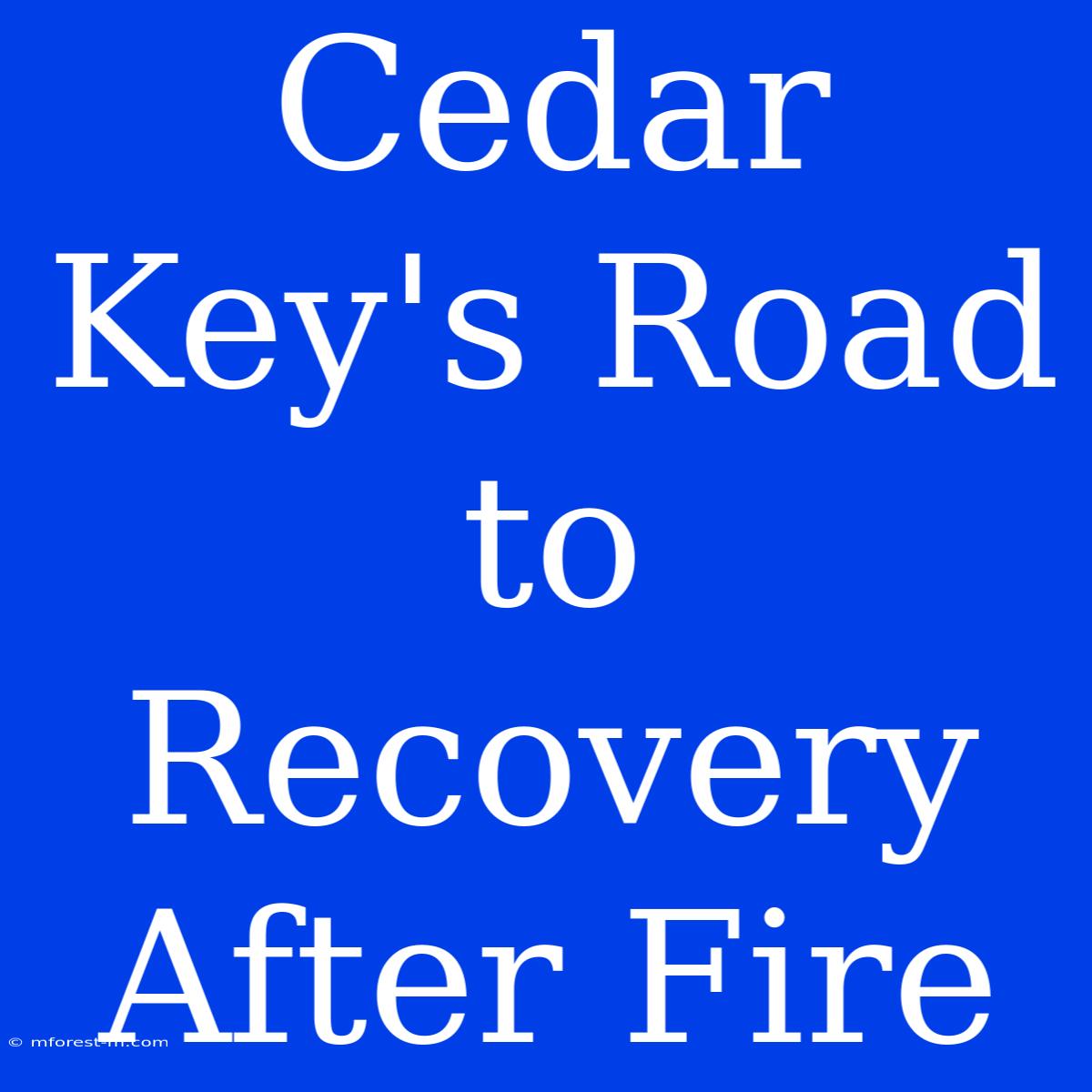 Cedar Key's Road To Recovery After Fire