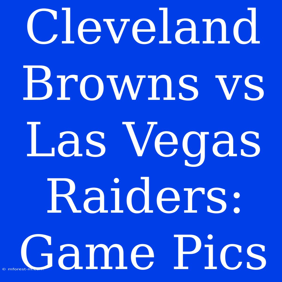 Cleveland Browns Vs Las Vegas Raiders: Game Pics