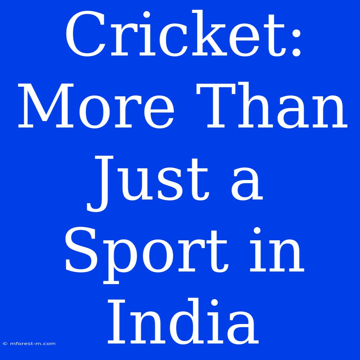 Cricket: More Than Just A Sport In India