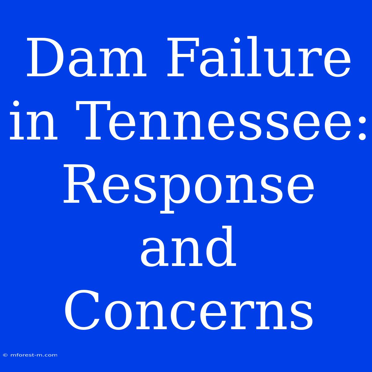 Dam Failure In Tennessee:  Response And Concerns