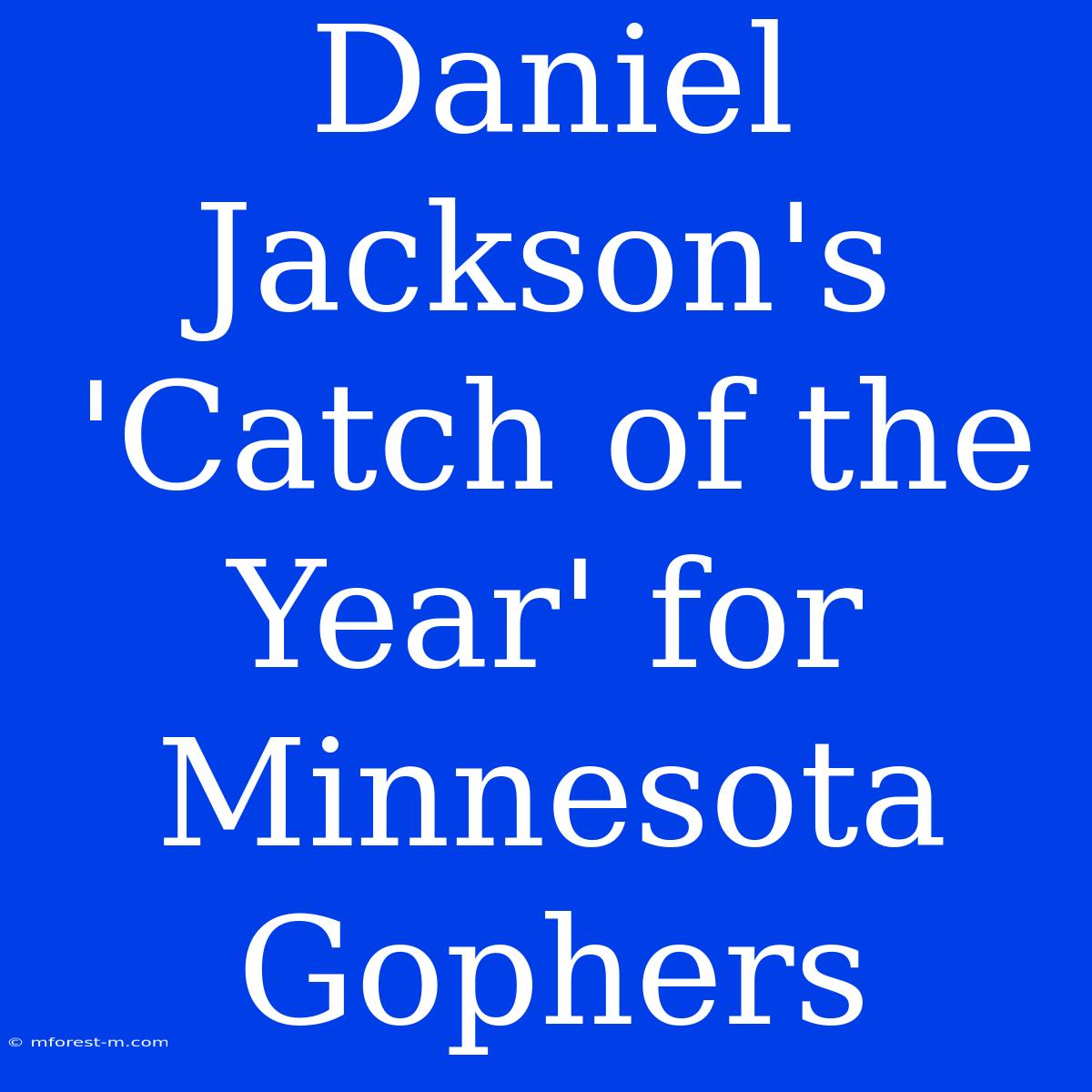 Daniel Jackson's 'Catch Of The Year' For Minnesota Gophers