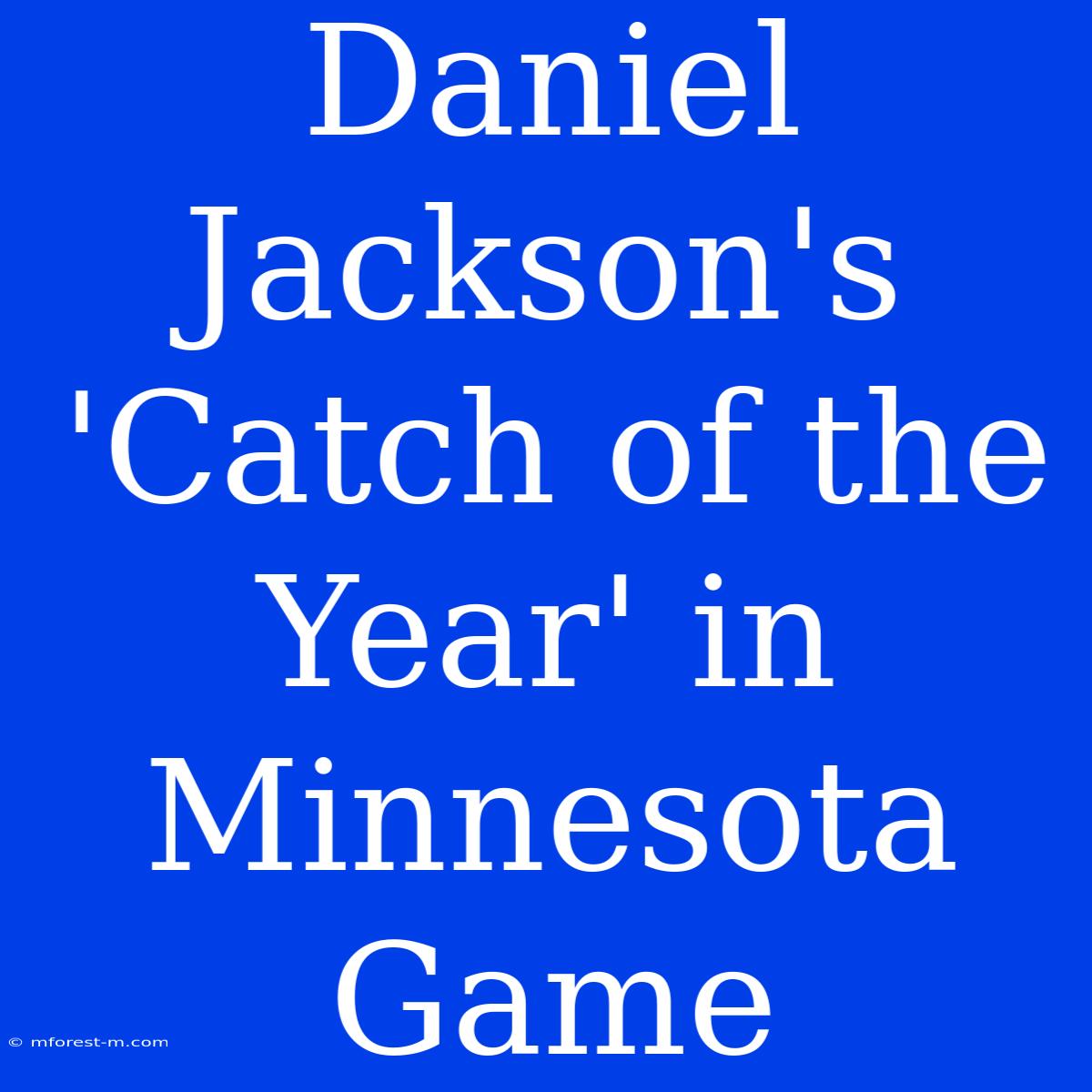 Daniel Jackson's 'Catch Of The Year' In Minnesota Game