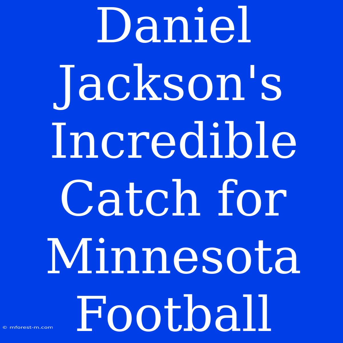 Daniel Jackson's Incredible Catch For Minnesota Football