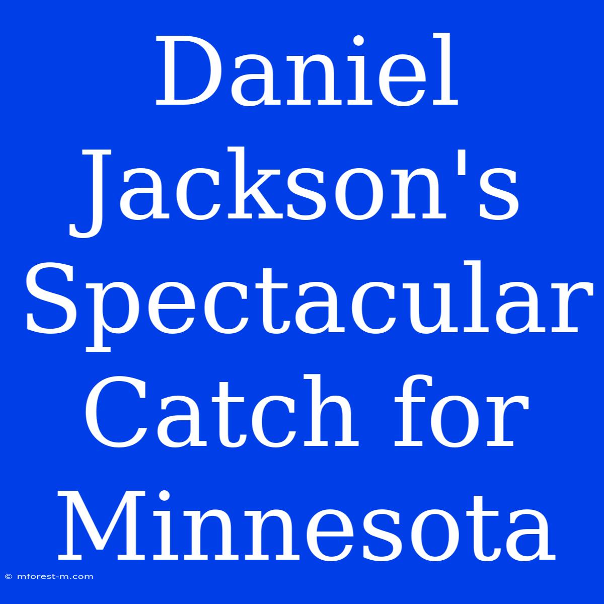 Daniel Jackson's Spectacular Catch For Minnesota