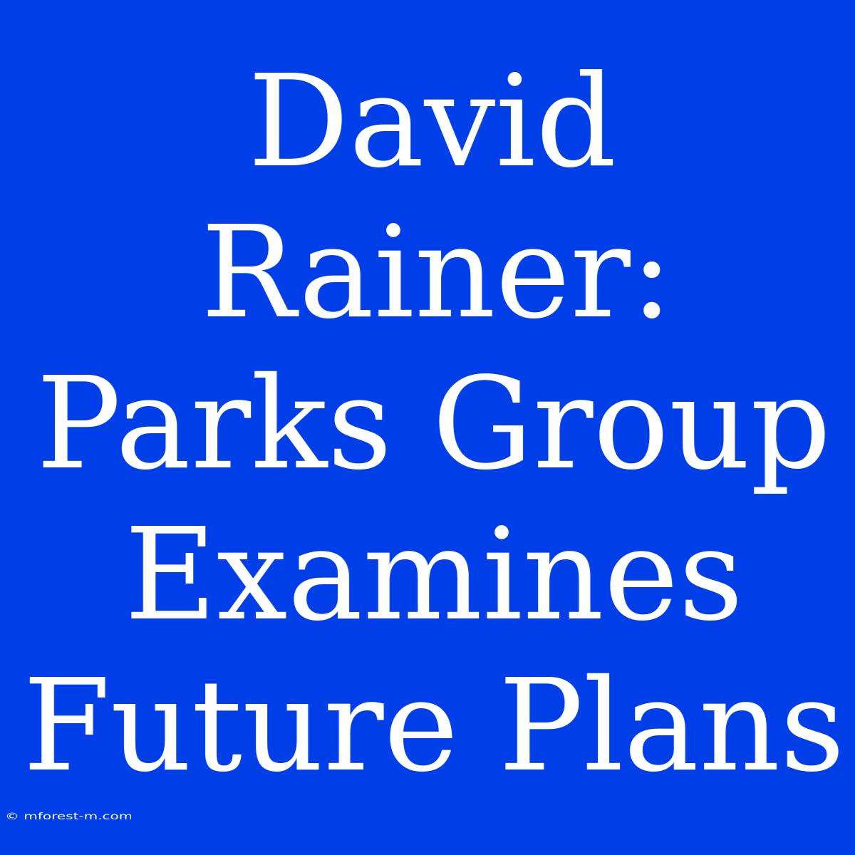 David Rainer: Parks Group Examines Future Plans