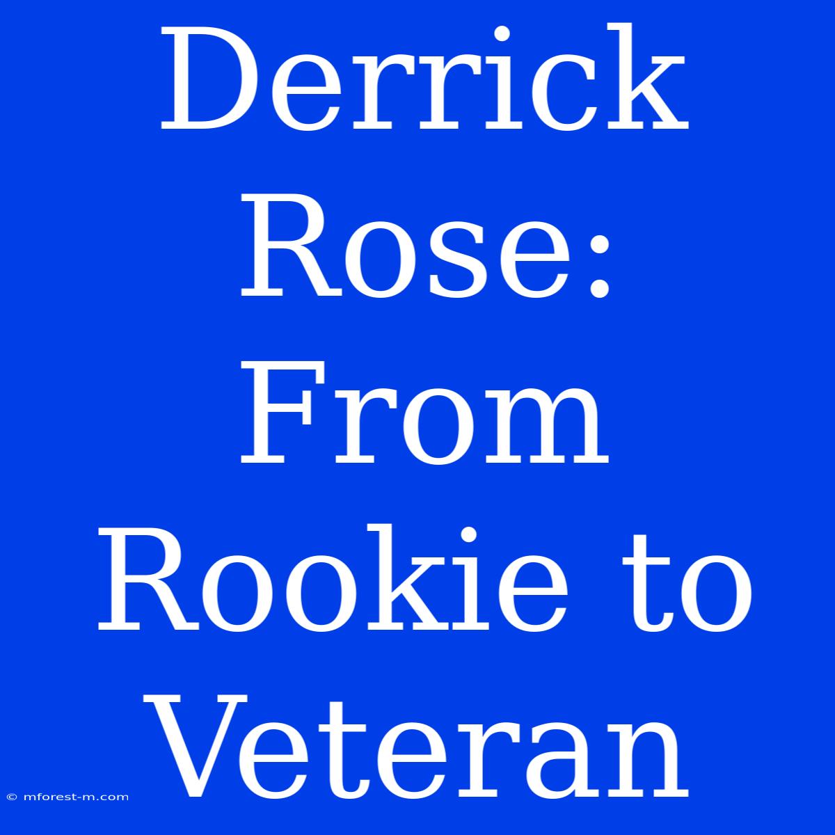 Derrick Rose: From Rookie To Veteran