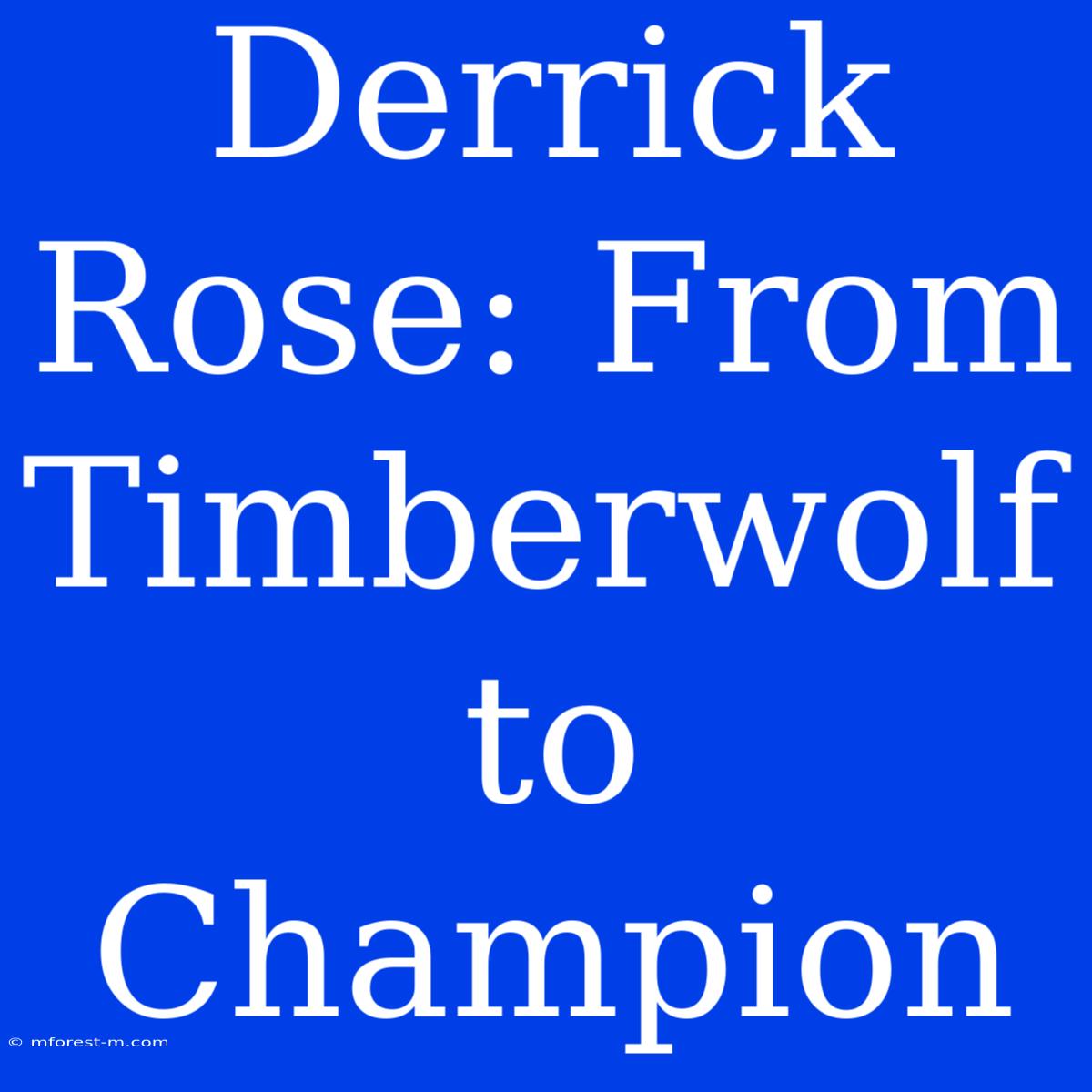 Derrick Rose: From Timberwolf To Champion