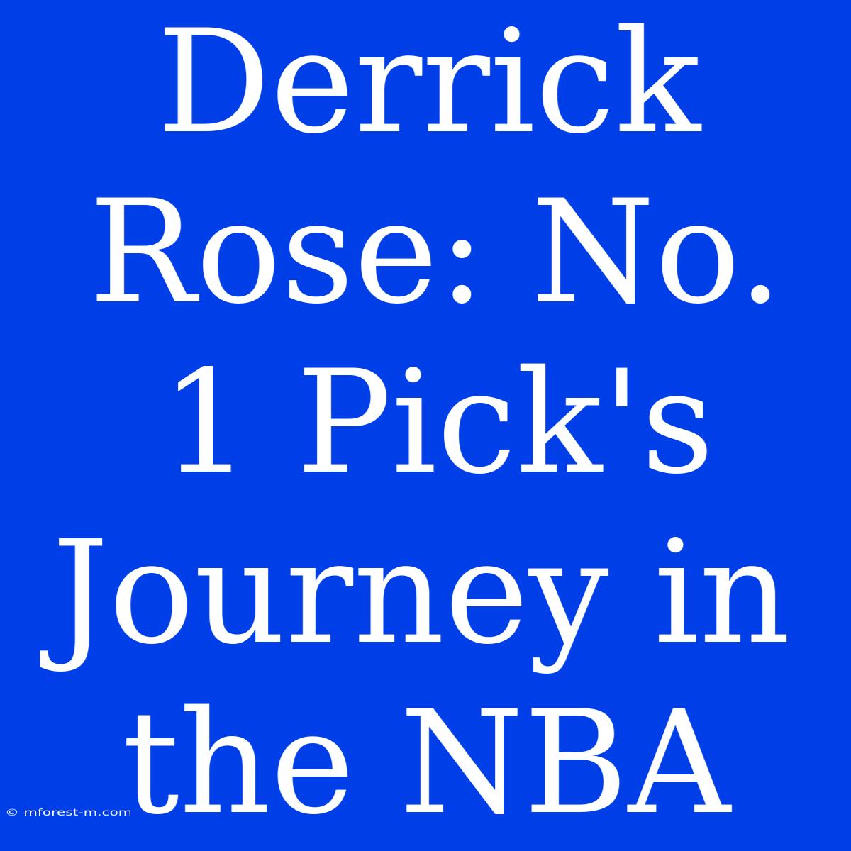 Derrick Rose: No. 1 Pick's Journey In The NBA