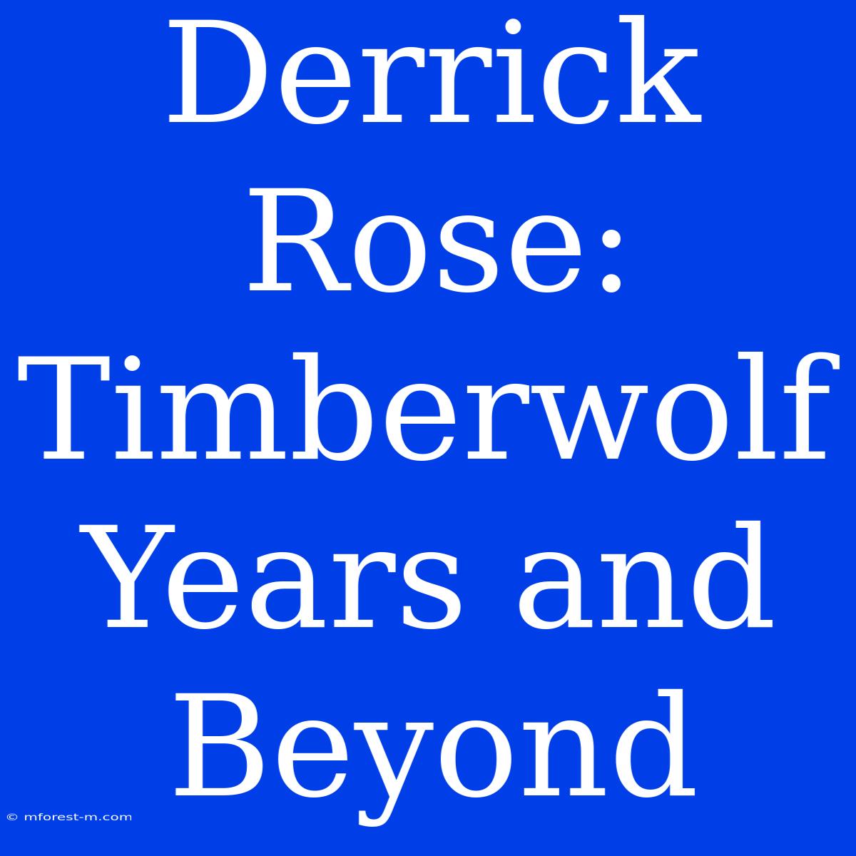 Derrick Rose: Timberwolf Years And Beyond