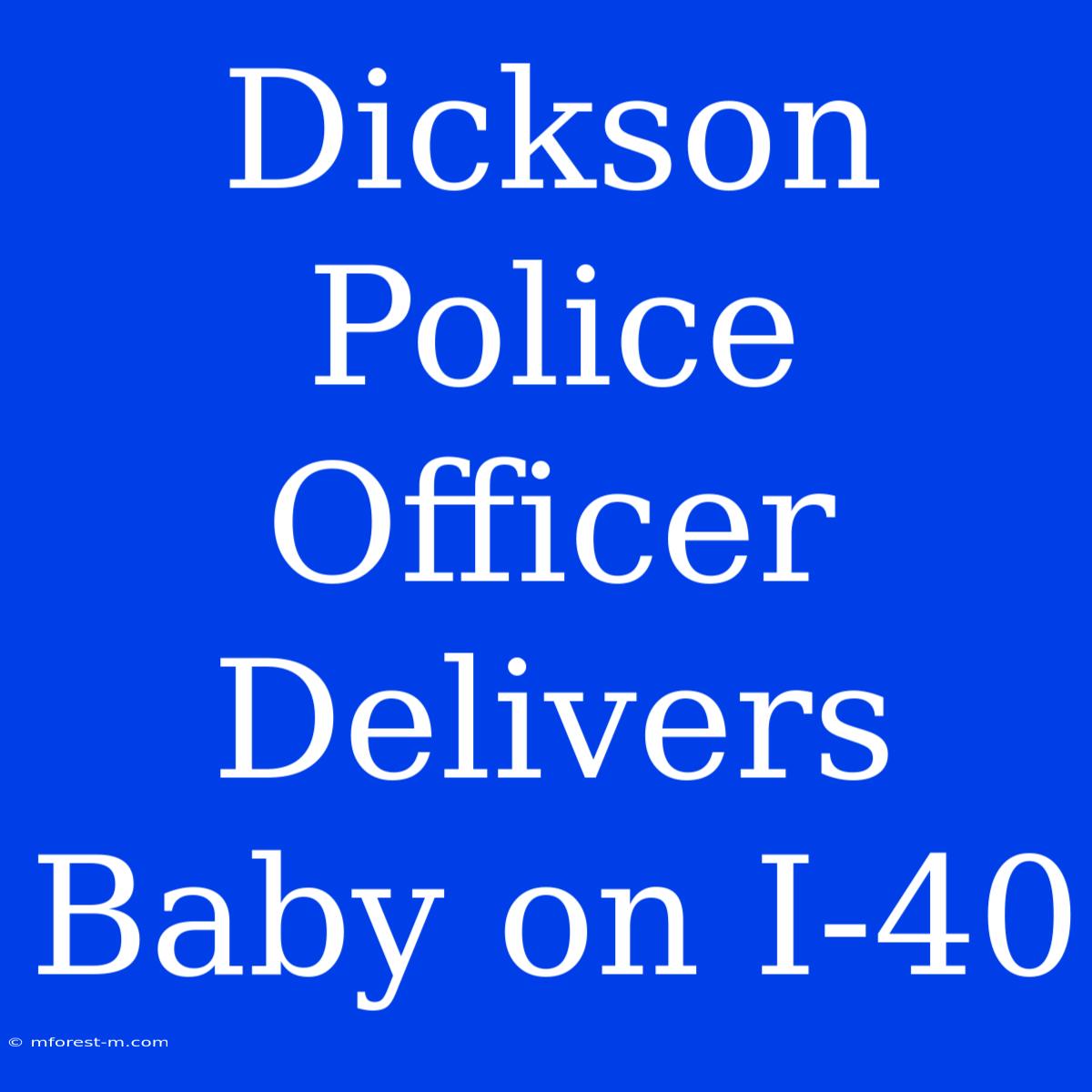 Dickson Police Officer Delivers Baby On I-40