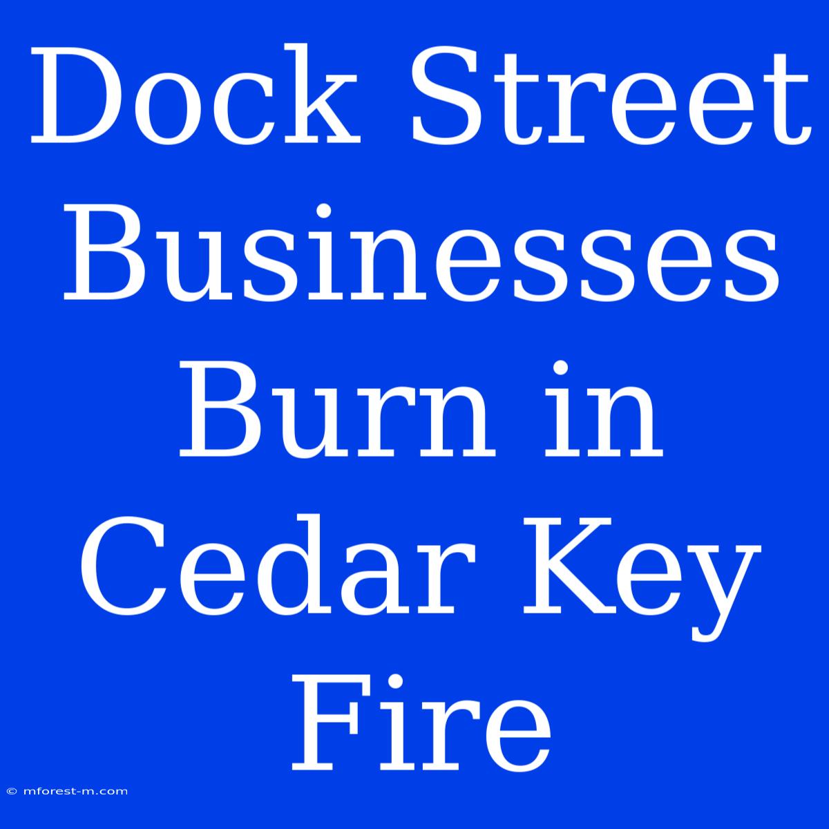 Dock Street Businesses Burn In Cedar Key Fire