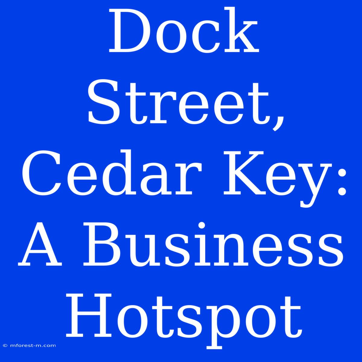 Dock Street, Cedar Key: A Business Hotspot