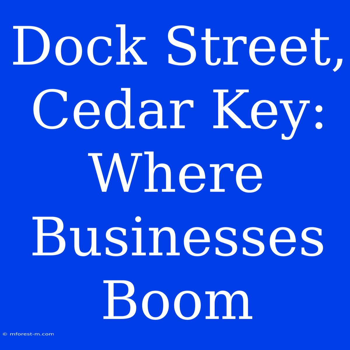 Dock Street, Cedar Key: Where Businesses Boom 