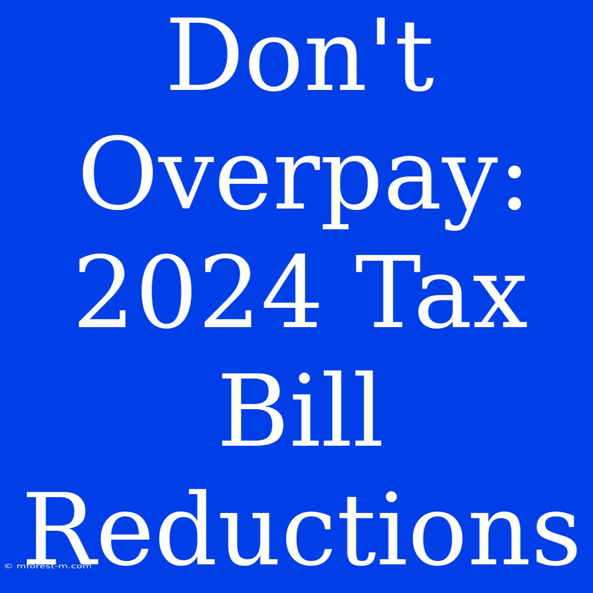 Don't Overpay: 2024 Tax Bill Reductions 