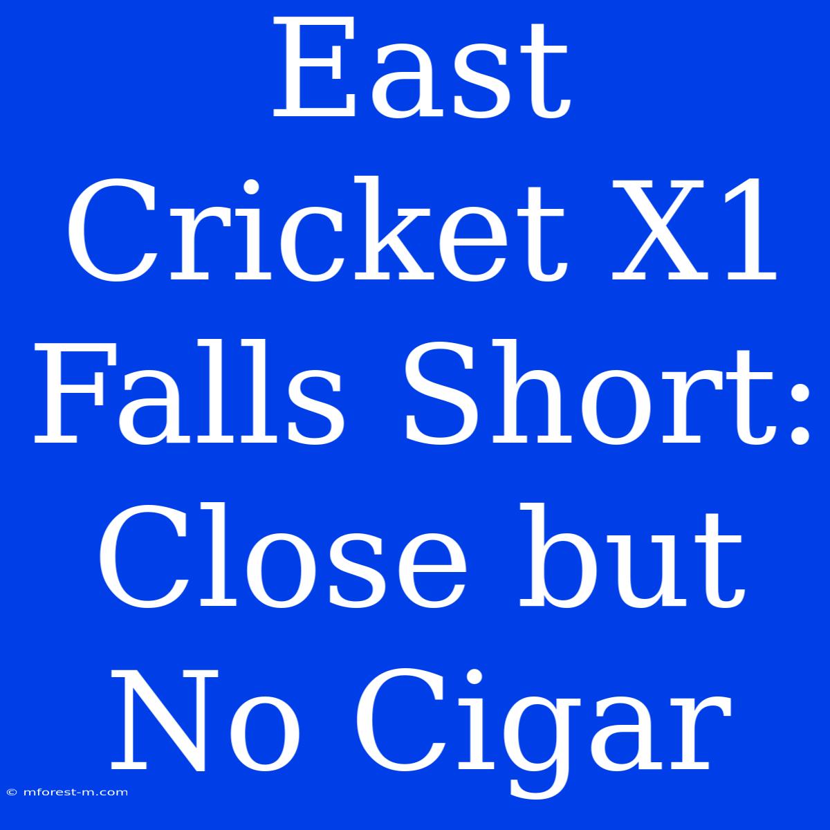 East Cricket X1 Falls Short: Close But No Cigar