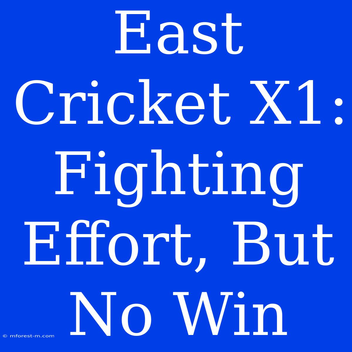 East Cricket X1: Fighting Effort, But No Win