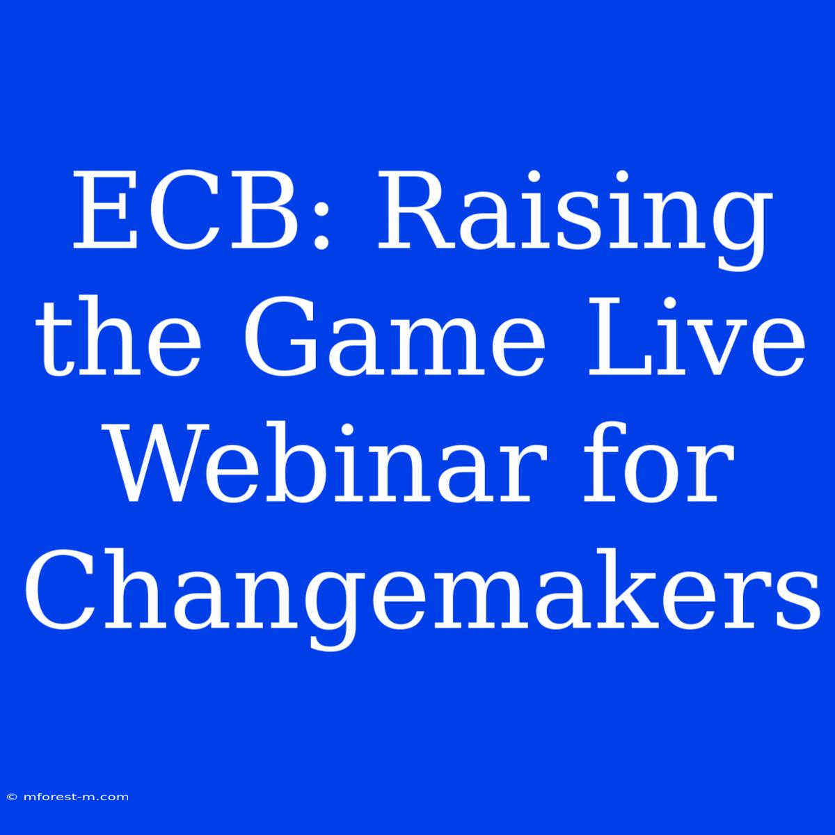 ECB: Raising The Game Live Webinar For Changemakers 