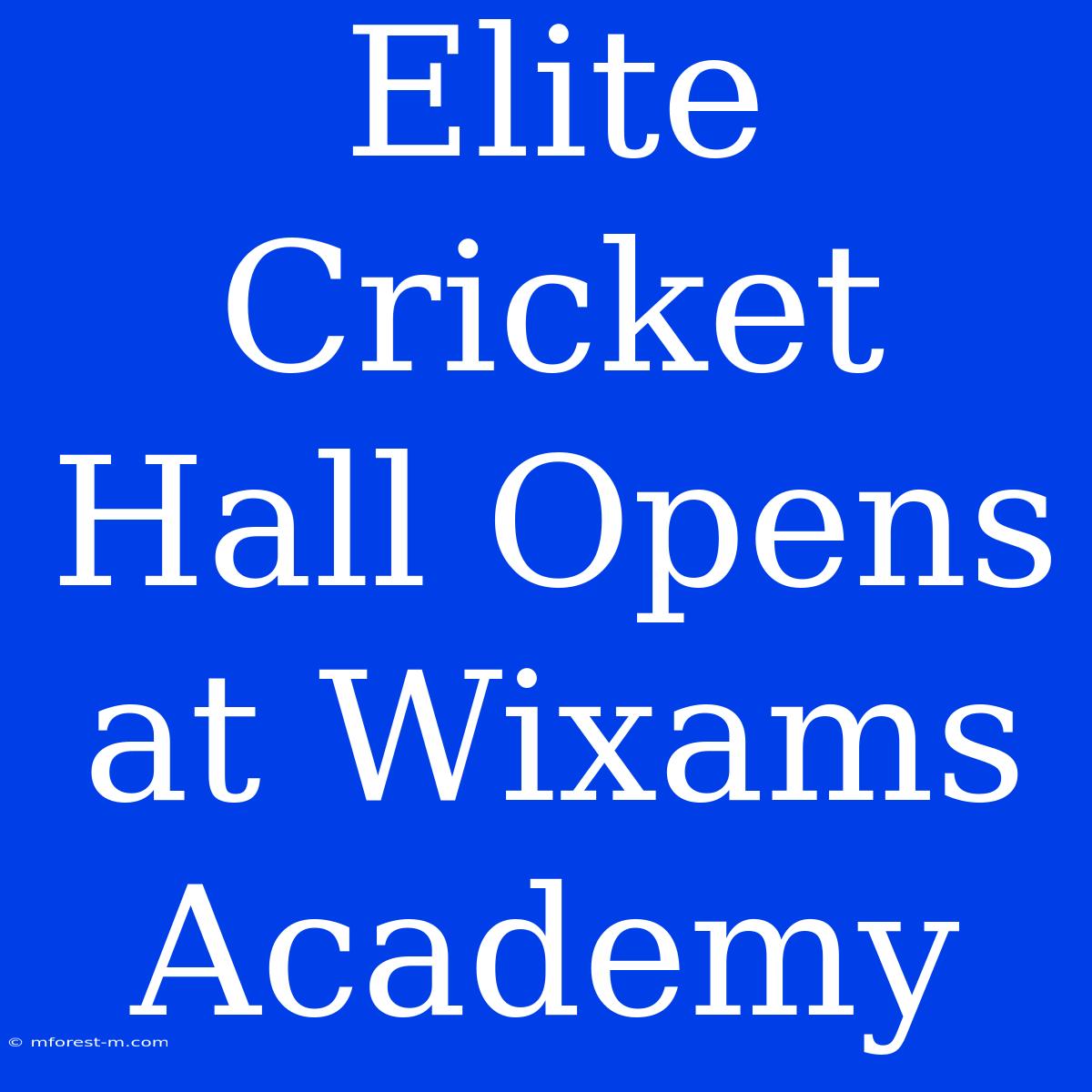 Elite Cricket Hall Opens At Wixams Academy