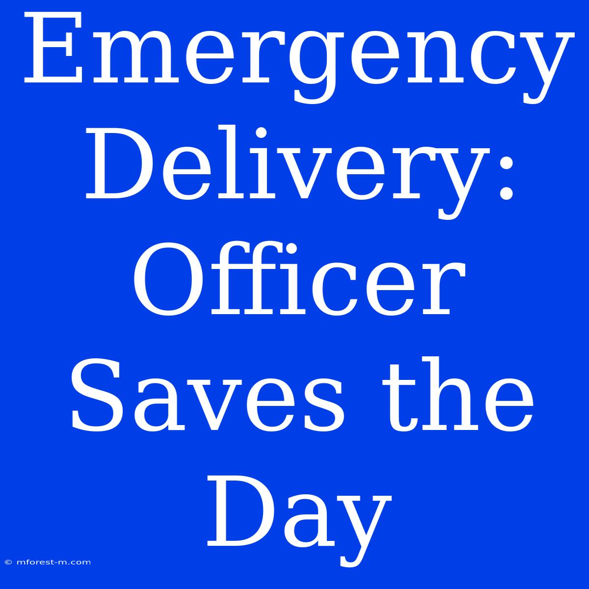 Emergency Delivery: Officer Saves The Day