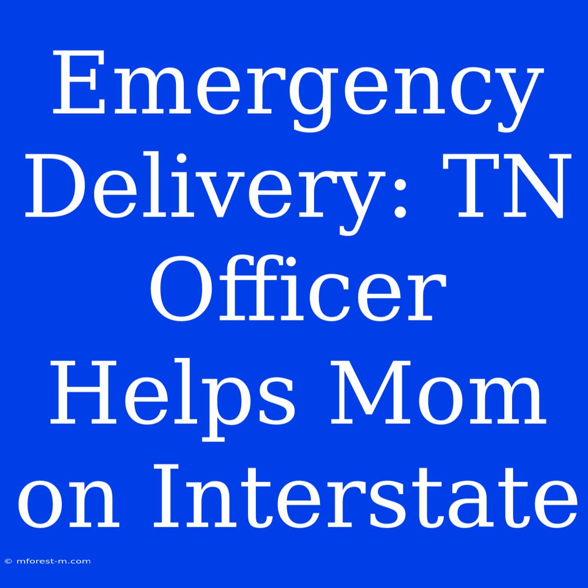 Emergency Delivery: TN Officer Helps Mom On Interstate