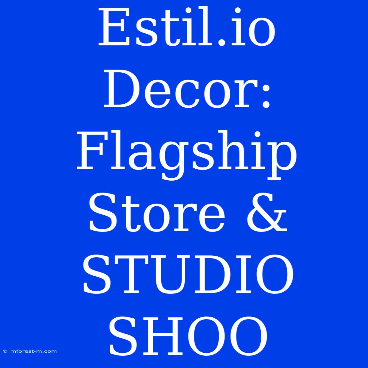 Estil.io Decor: Flagship Store & STUDIO SHOO