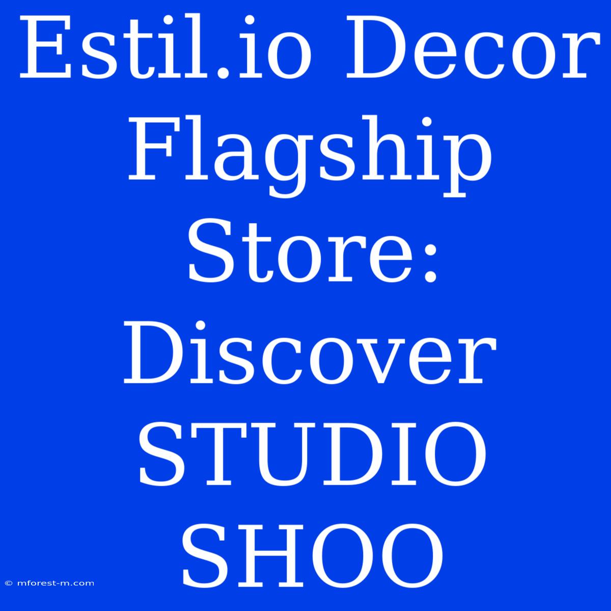 Estil.io Decor Flagship Store: Discover STUDIO SHOO