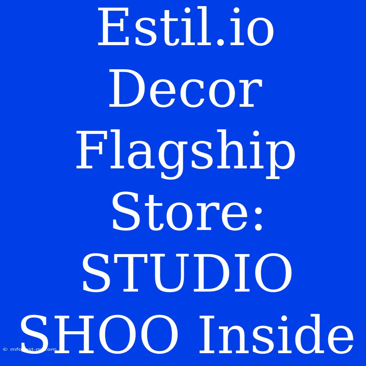 Estil.io Decor Flagship Store: STUDIO SHOO Inside