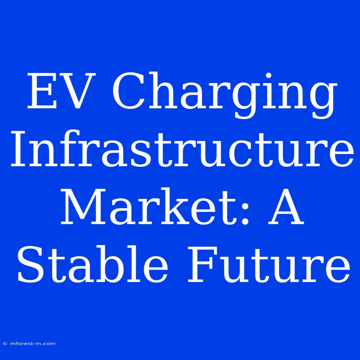 EV Charging Infrastructure Market: A Stable Future