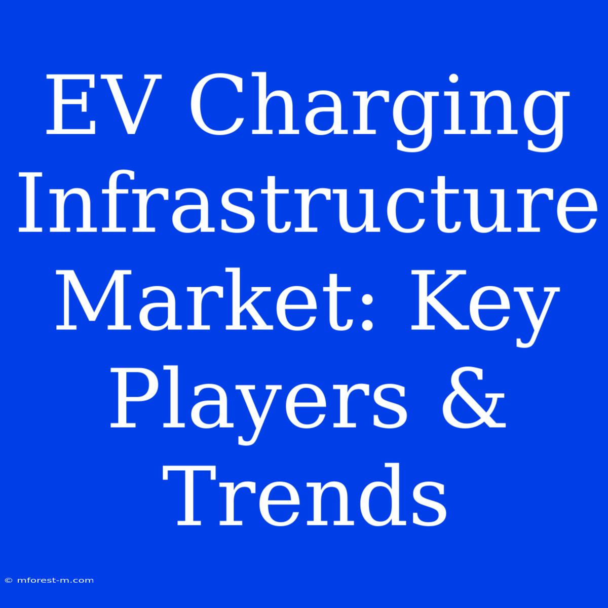 EV Charging Infrastructure Market: Key Players & Trends