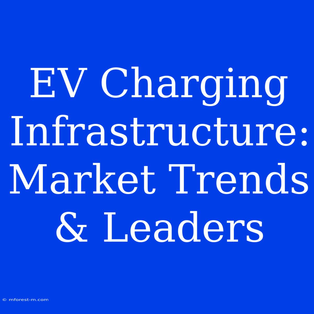 EV Charging Infrastructure:  Market Trends & Leaders