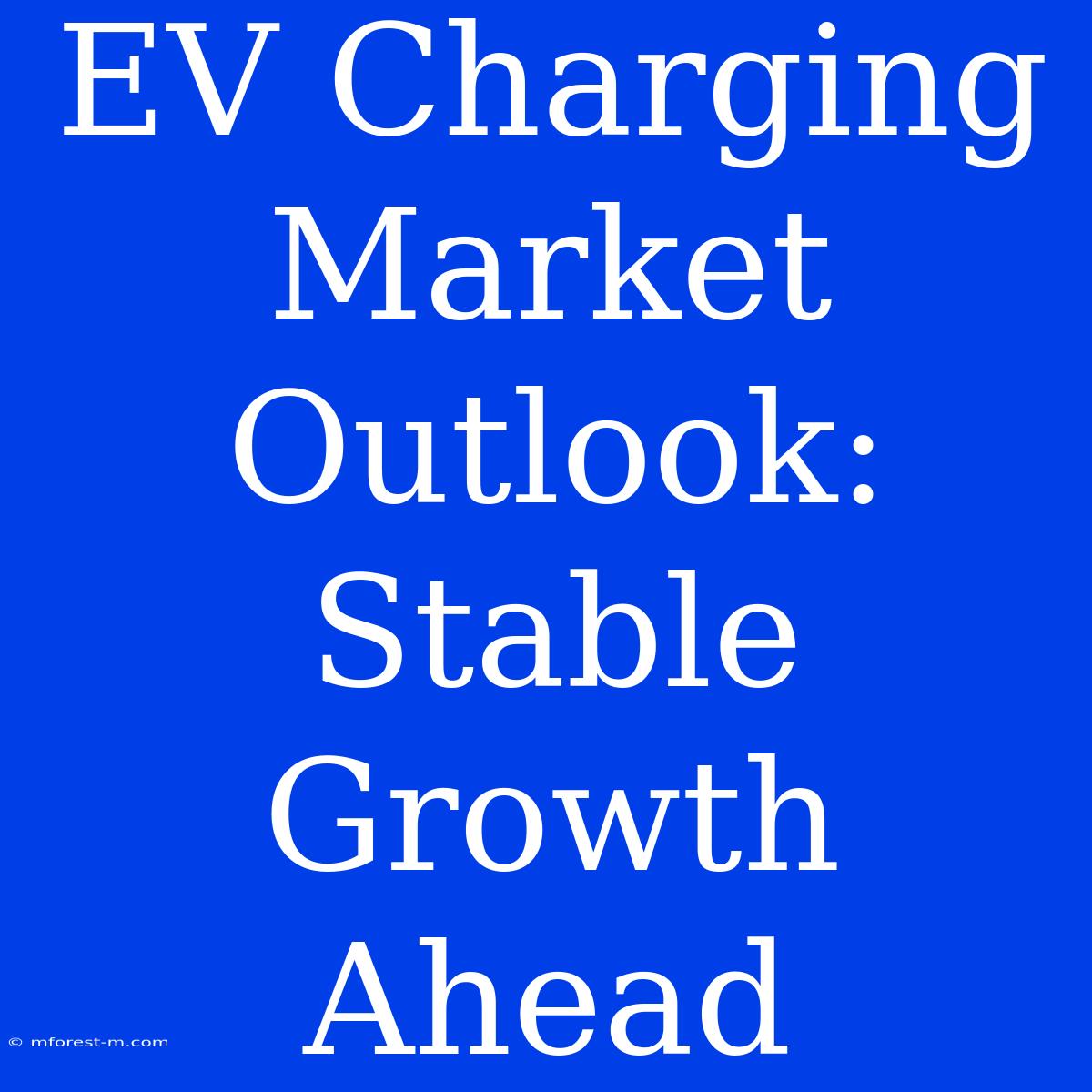 EV Charging Market Outlook: Stable Growth Ahead