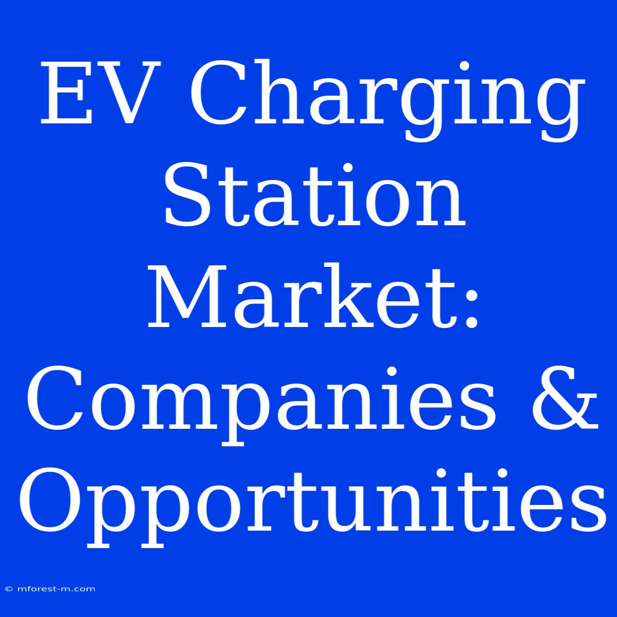 EV Charging Station Market: Companies & Opportunities