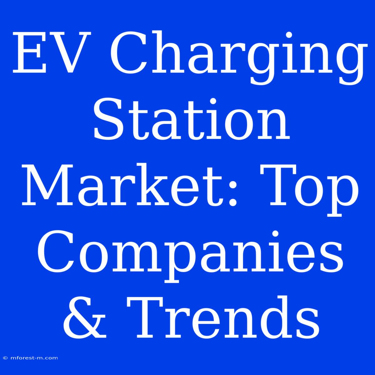 EV Charging Station Market: Top Companies & Trends