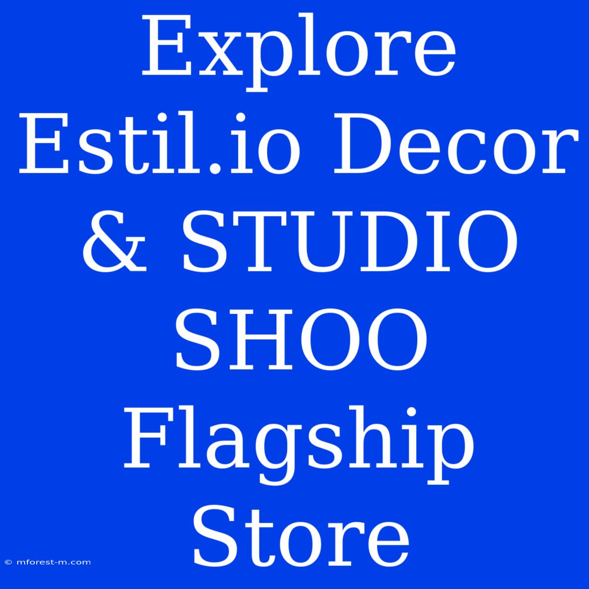 Explore Estil.io Decor & STUDIO SHOO Flagship Store