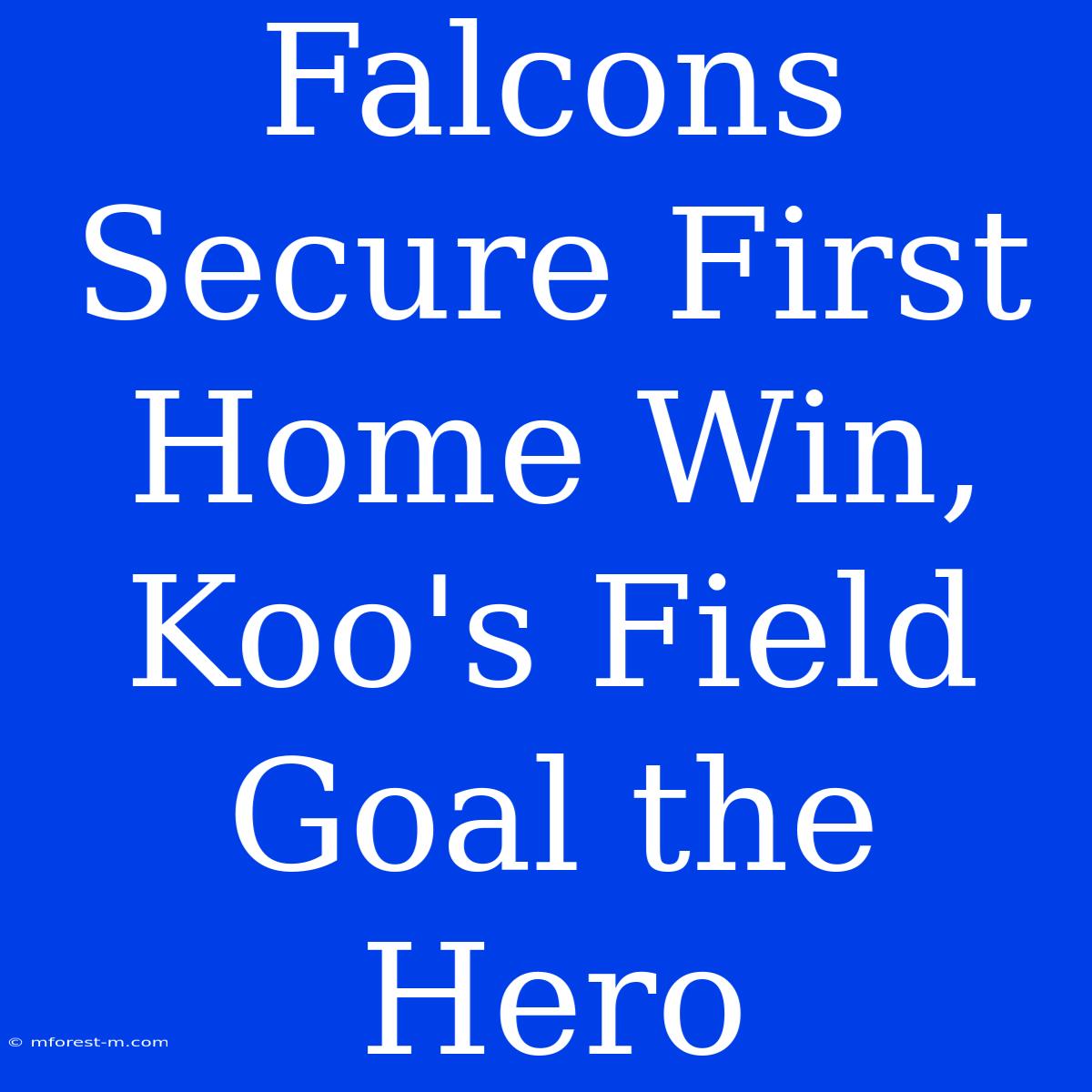 Falcons Secure First Home Win, Koo's Field Goal The Hero 