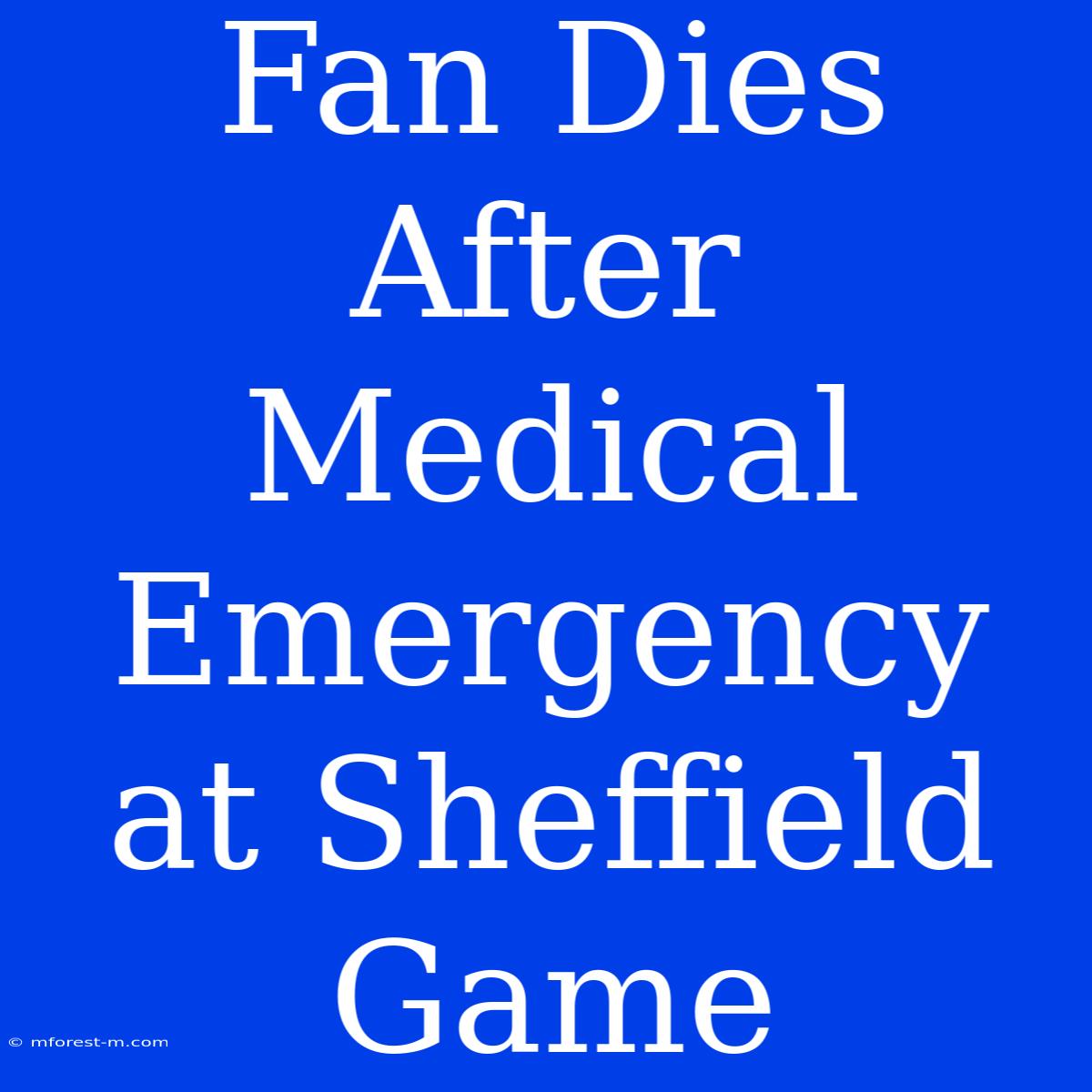 Fan Dies After Medical Emergency At Sheffield Game 