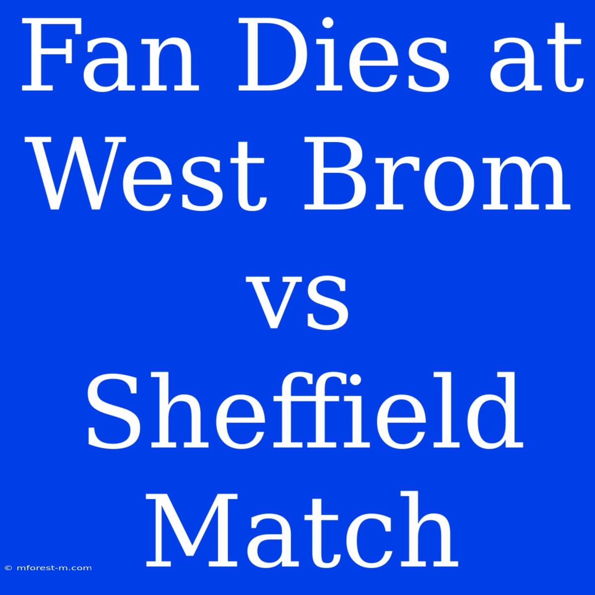 Fan Dies At West Brom Vs Sheffield Match