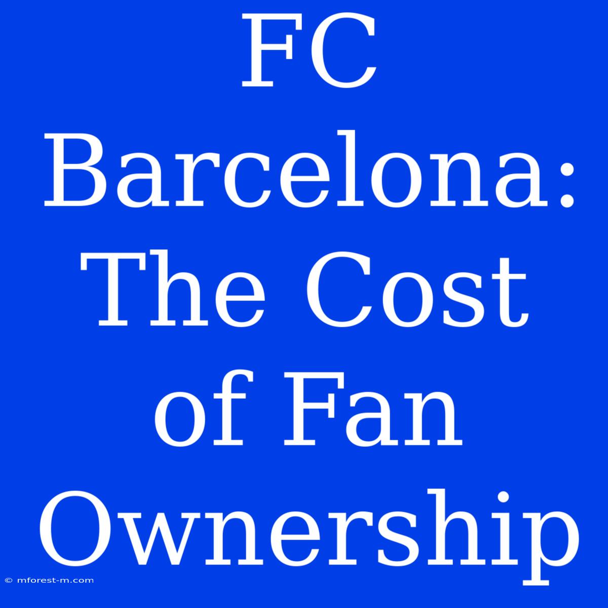 FC Barcelona: The Cost Of Fan Ownership