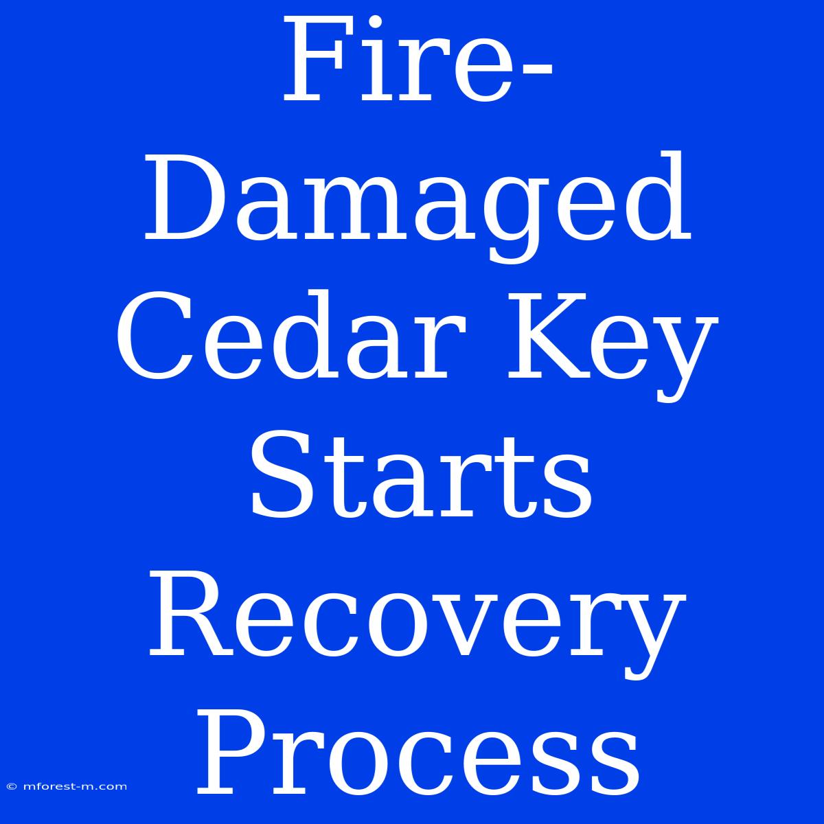 Fire-Damaged Cedar Key Starts Recovery Process