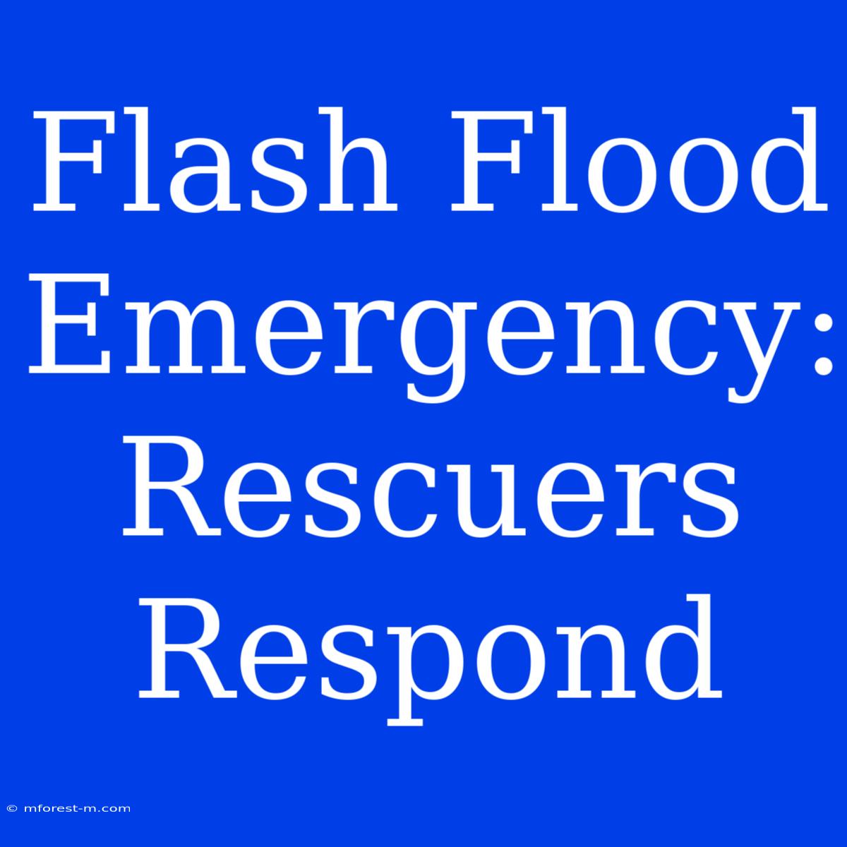 Flash Flood Emergency:  Rescuers Respond 